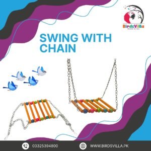 Swing with Chain
