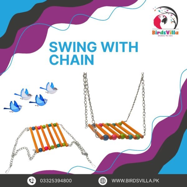 Swing with Chain